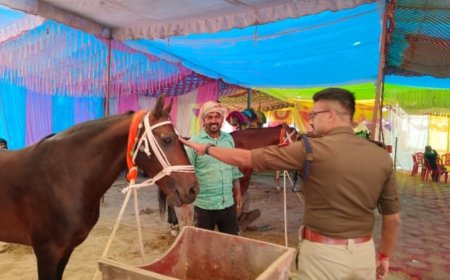 मेले में आकर्षण का केंद्र बना घोड़ा एसपी के देखरेख में